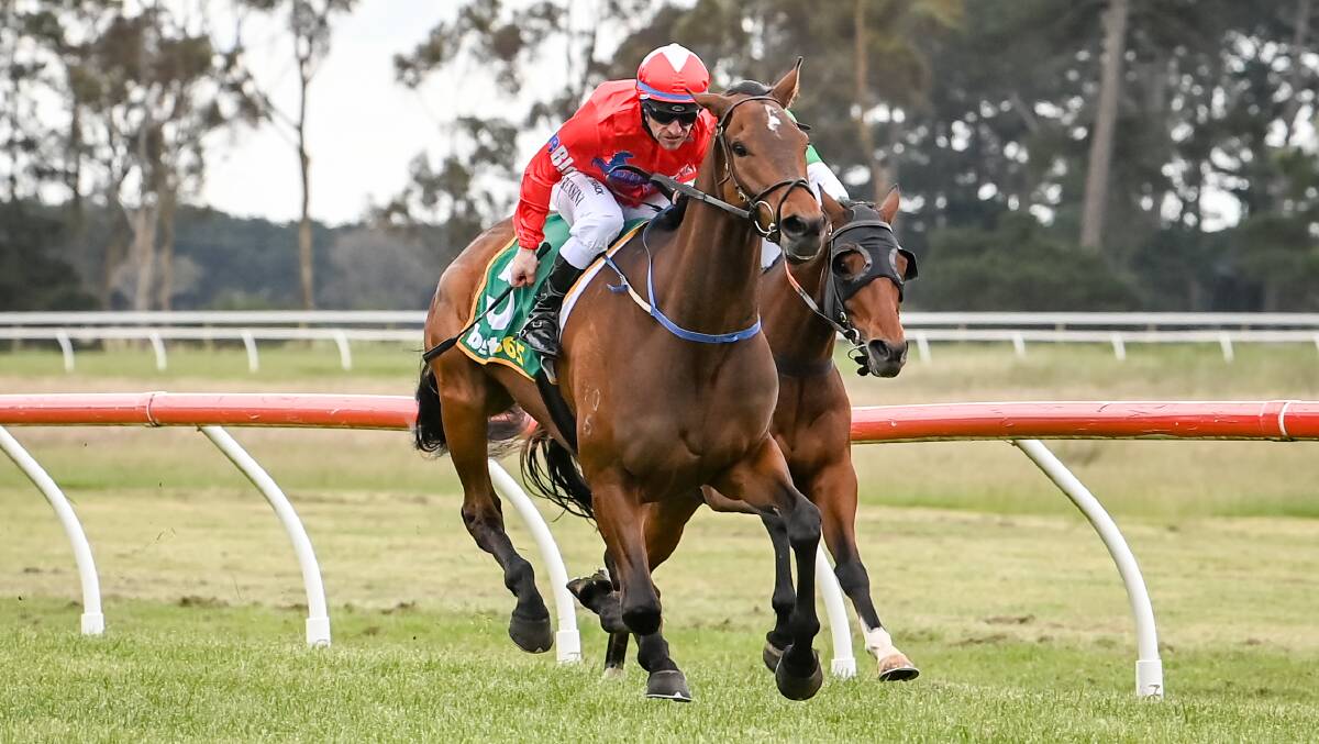 CUP FORM: Burrumbeet Cup top weight Court Deep (Jarrod Lorensini) takes out the Penshurst Cup in November. Picture: Racing Photos
