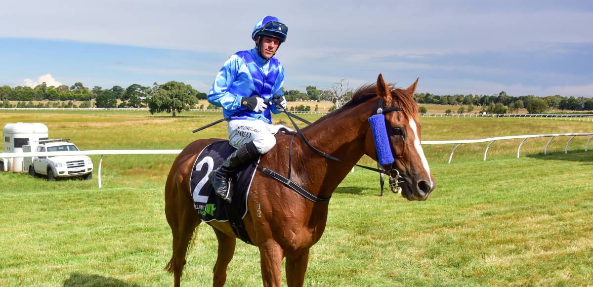 RETURN ON CARDS: Diplomac Jack (Neil Farley) returns to the mounting yard after winning the 2021 Burrumbeet Cup. Picture: Brendan McCarthy/Racing Photos