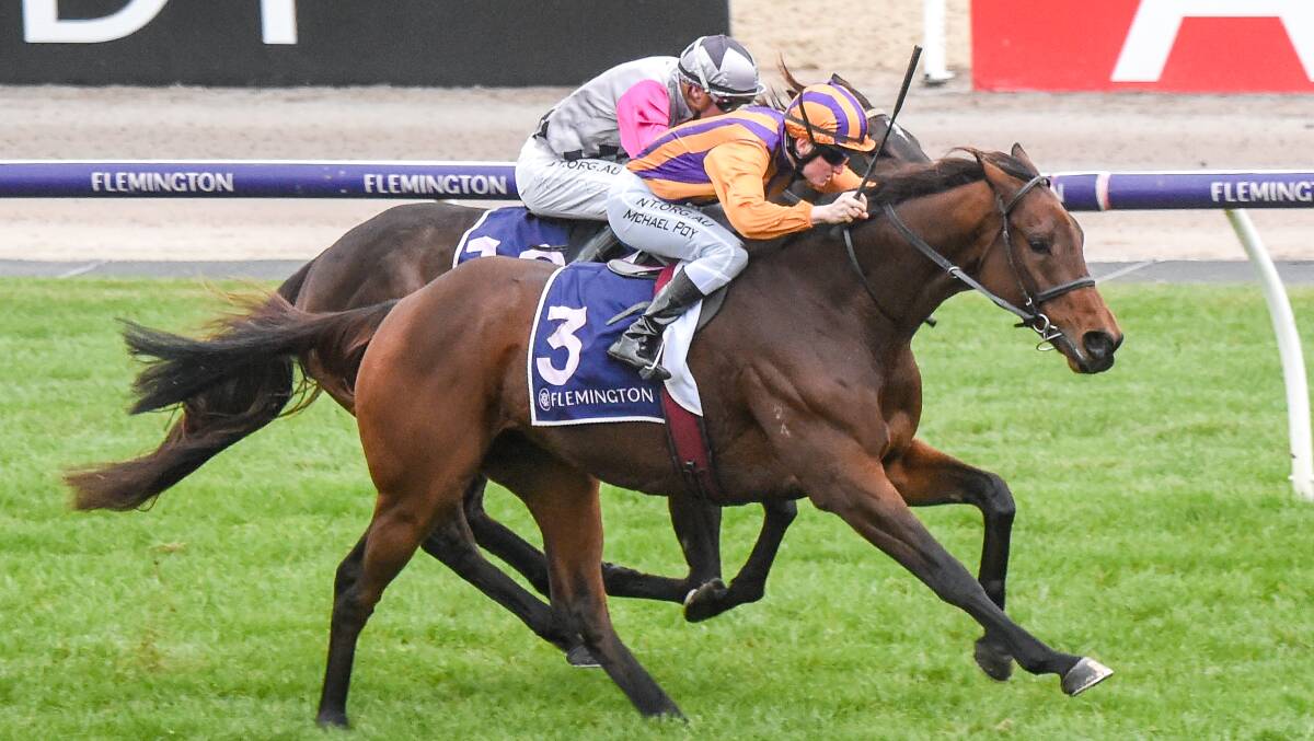 STRIDING OUT: Creedance (Michael Poy) wins for Ballarat trainer Matt Cumani at Flemington on Saturday. Picture: Getty Images