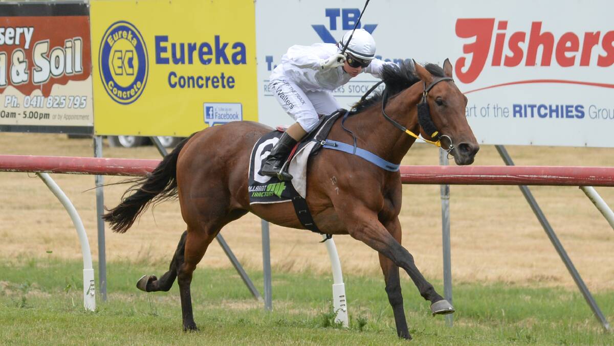 WELL CLEAR: Millitree (Kate Walters) runs away with the TB White & Sons Maiden. Picture: Ross Holburt/Racing Photos