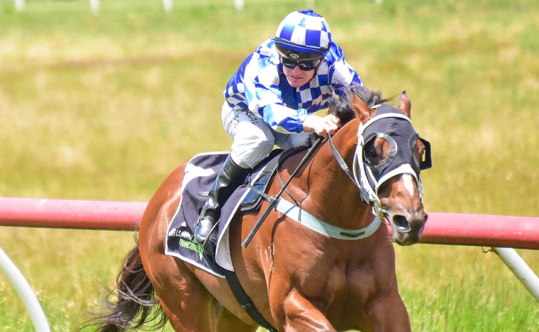 Monsieur Macron has it all his own way in the Mt Misery Sand & Soil Benchmark64 Handicap. Picture: Brendan McCarthy, Racing Photos 