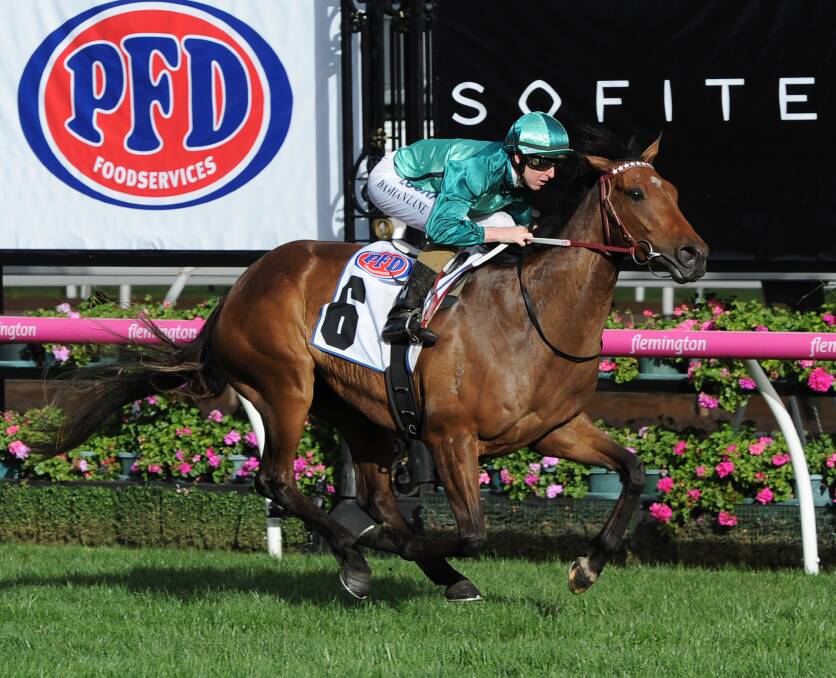 NEW CHALLENGE: Blake Shinn has his first ride on the Darren Weir-trained Humidor in the $3m Cox Plate at Moonee Valley. Picture: AAP Images.