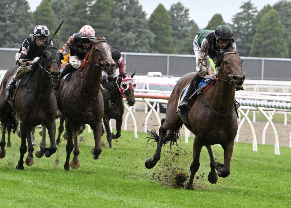 Captain Envious ploughs his way through the heavy going to win the Ballarat Cup. Picture by Lachlan Bence.