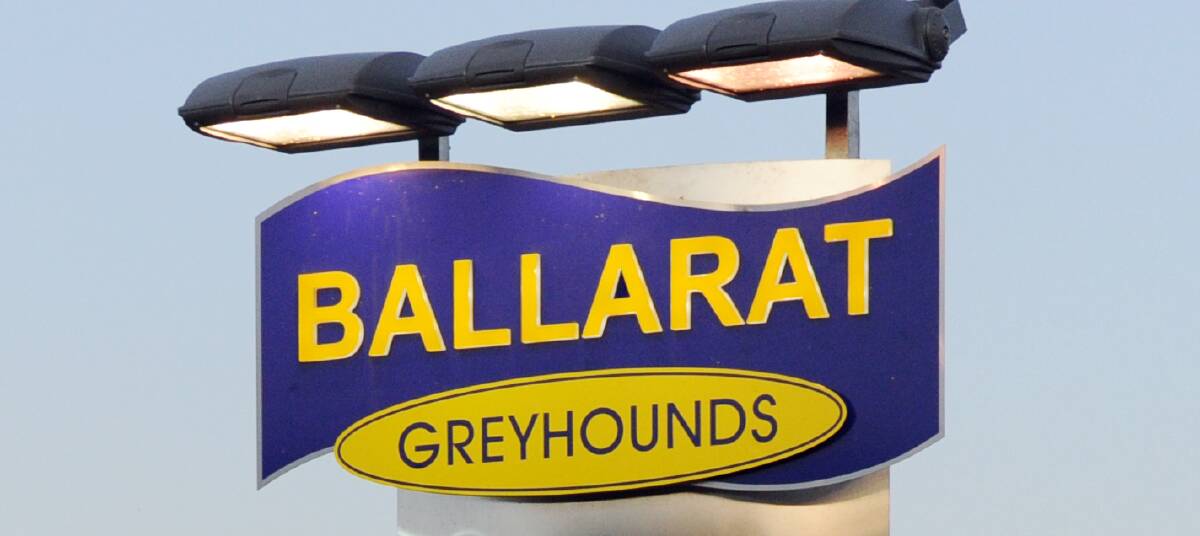 Dailly trains seven winners on Ballarat greyhound card