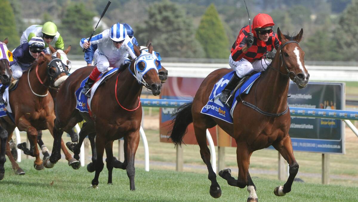 Now jumping, Mujadale salutes in the 2014 Ballarat Cup
