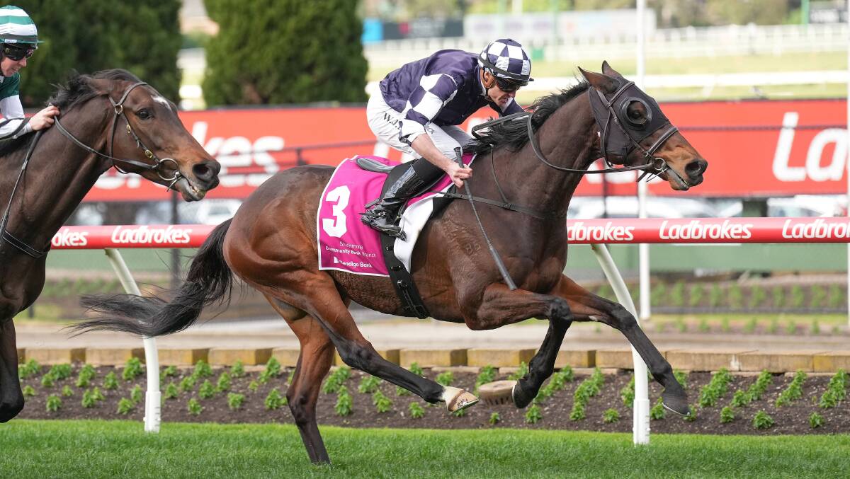 Young Werther has been given the equal top weight for Saturday's Ballarat Cup. Picture by Scott Barbour/Racing Photos. 