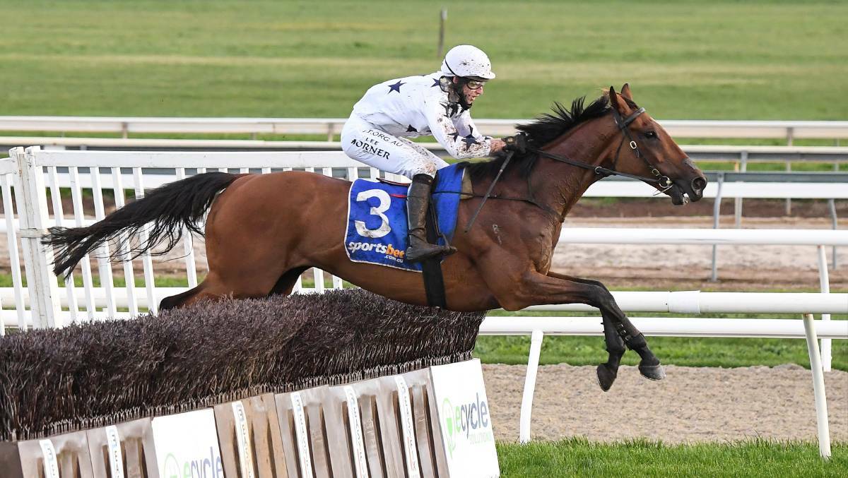 Bee Tee Junior jumps to victory in last year's Grand National Steeplechase. Picture: Racing Photos