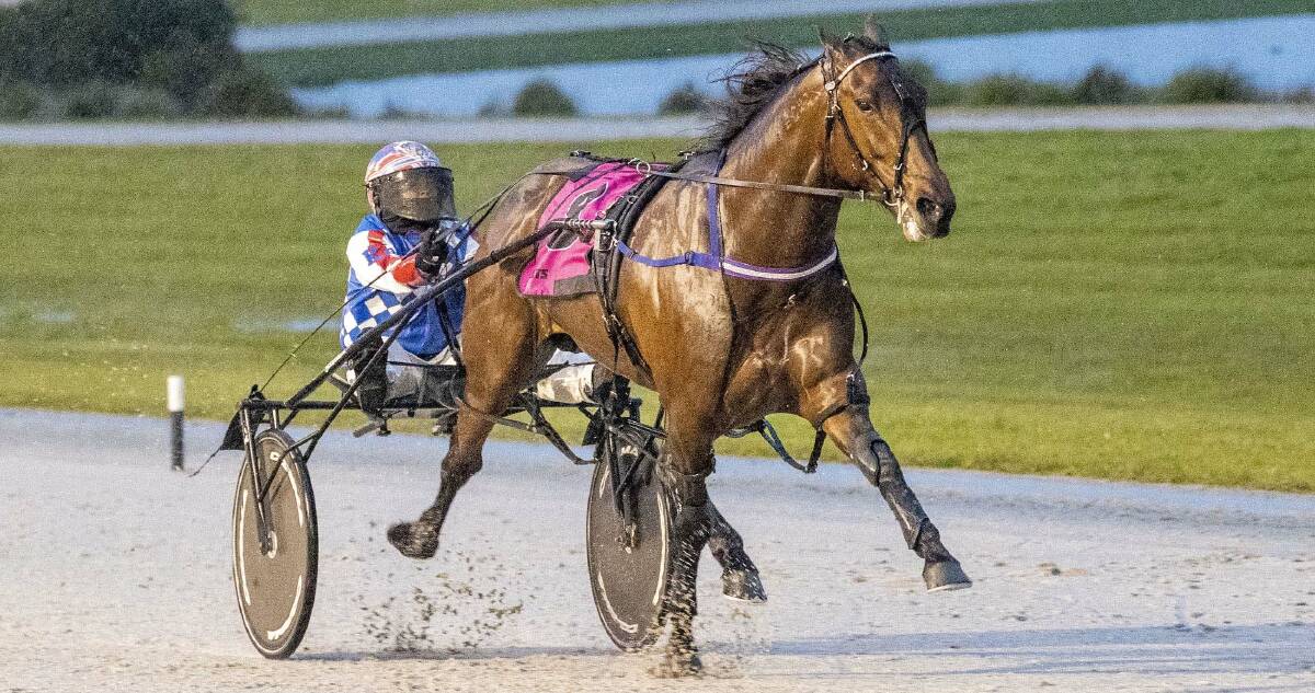 RIDING HIGH: Kate Gath drives Ride High for the first time on their way to an easy victory at Terang on Saturday night. Picture: Stuart McCormick