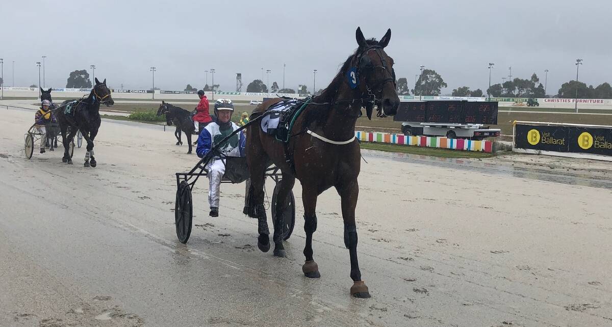 VICTORY: David Murphy with Meet Michaelangelo on a wet day at Bray Raceway.