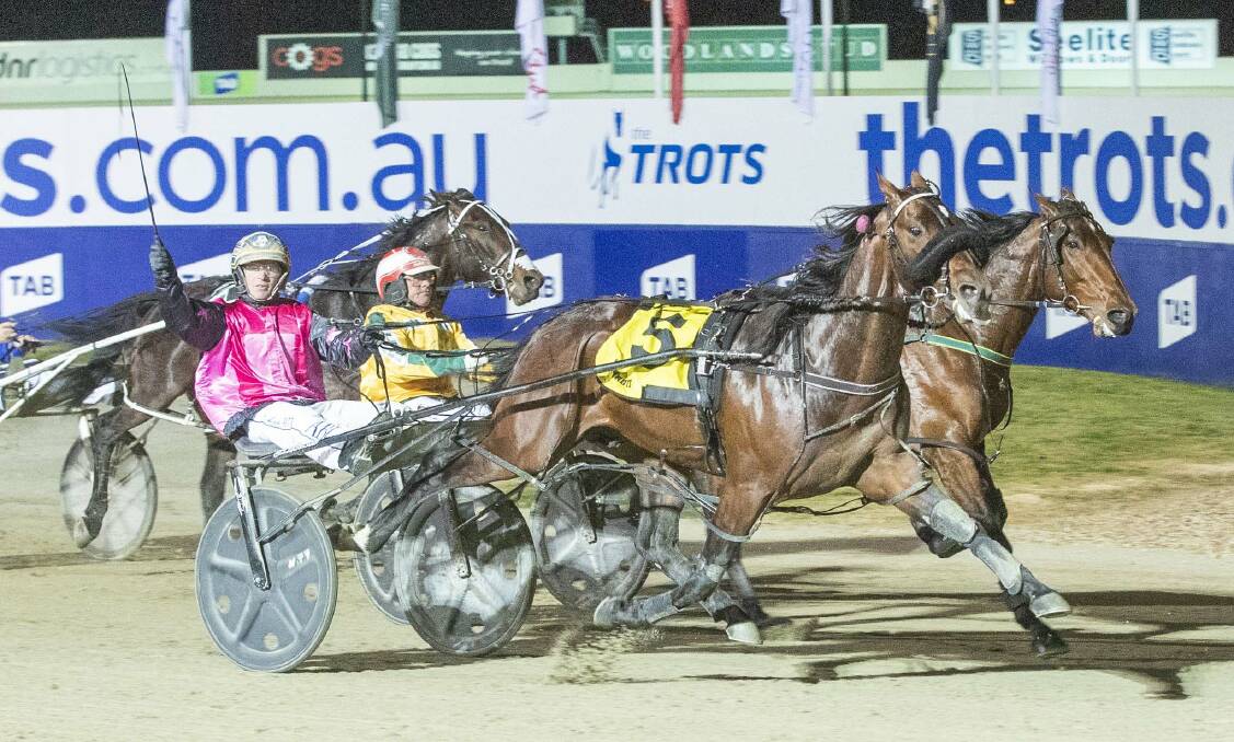 WHIRLWIND: Hurricane Harley takes out the Breeders Crown final for 2yo colts and geldings at Melton last season. Picture: Harness Racing Victoria