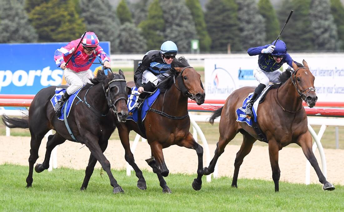 CLOSE GO: Sangria Miss (Will Price) drives through the middle of Bloomin' Crafty and Billjim to get the money in Ballarat on Monday. Picture: Getty Images