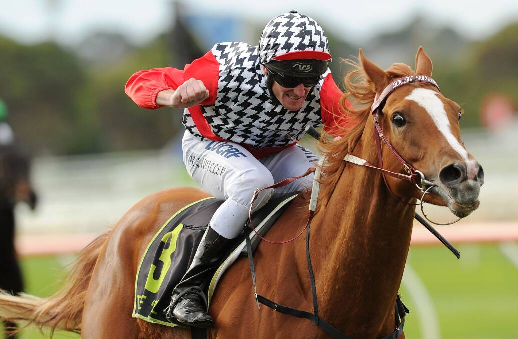 WEIR HOPE: Melbourne Cup winning combination Darren Weir and Michelle Payne will be hoping Akzar gets the job done in the Ballarat Cup. Picture: Getty Images