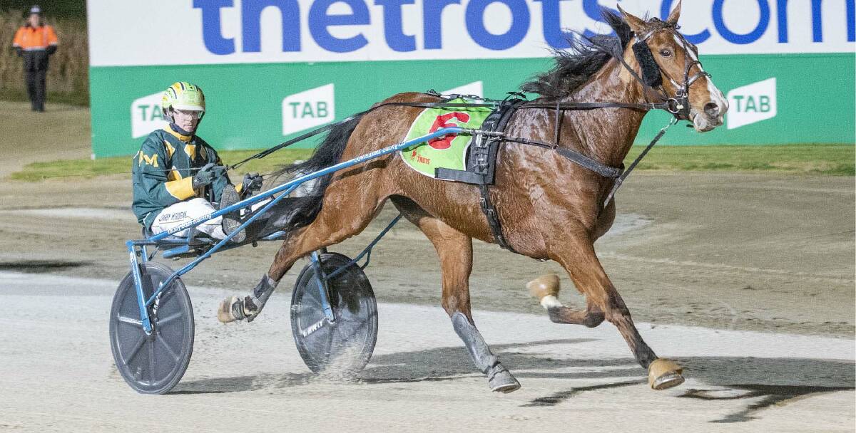 Immsettogo (Darby McGuigan) pictured at Melton earlier this year. Picture: Stuart McCormick
