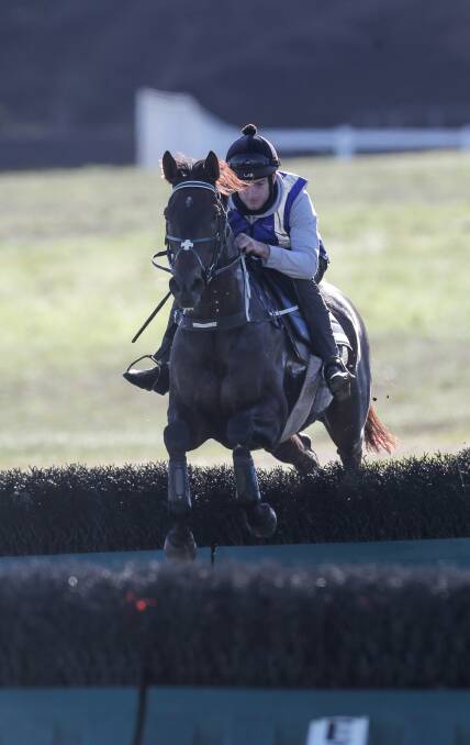 OVERSEAS: Warrnambool jumper John Monash, which will be ridden by New Zealand-based English jockey Will Gordon in the Grand National Steeplechase. Picture: Rob Gunstone