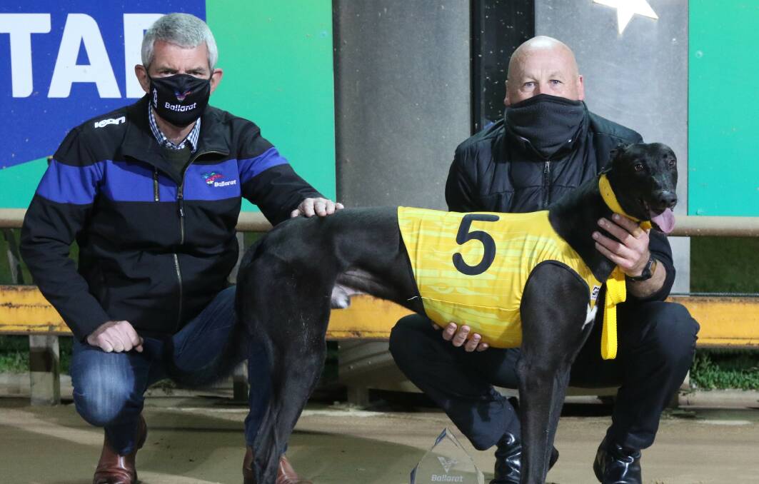 WINNER: Ballarat Greyhound Racing Club treasurer Greg Davies and trainer Mark Johnson with Lachie's Legacy. Pictures: Peter Morganti 