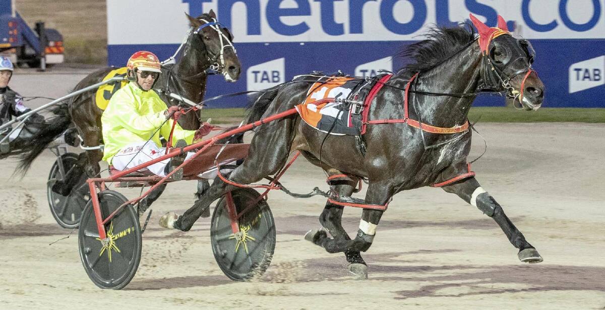 TAKING A SHOT: Matthew Craven is aiming Cant Refuse at the Ballarat Pacing Cup: Pictures: Stuart McCormick, HRV