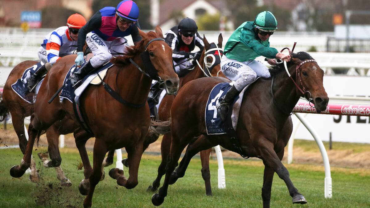 GOING AGAIN: Humidor goes hard to the line in the group 1 Memsie Stakes at Caulfield. Picture: AAP Image