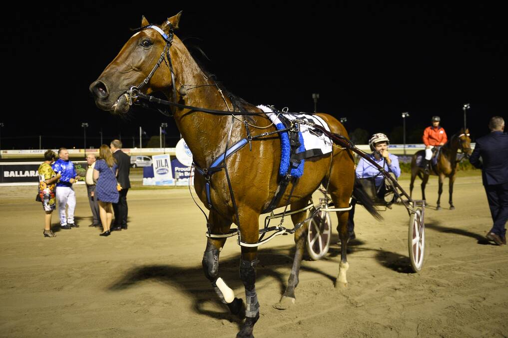 CAREER OVER: Smolda parades after his second consecutive Ballarat Pacing Cup win at Bray Raceway in January this year.
