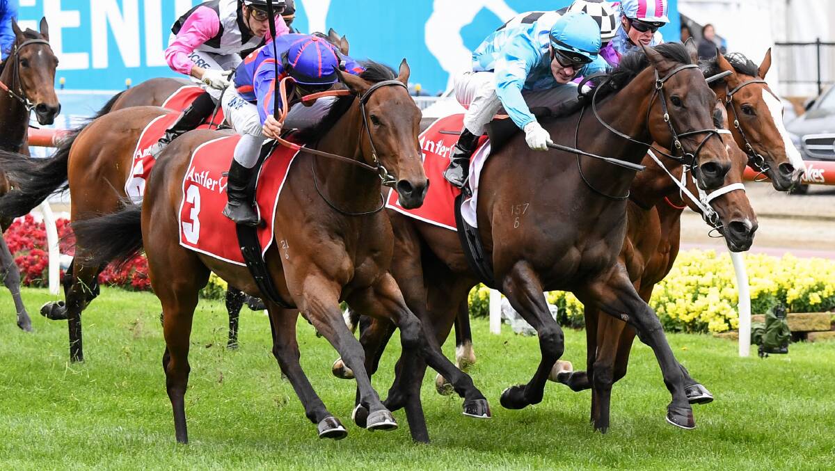 SMART: La Falaise, left, salutes for Ballarat trainer Henry Dwyer in group 2 company at Moonee Valley. Picture: Racing Photos
