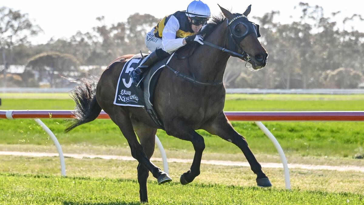CUPS TIME: Barade gives Ballarat trainer Archie Alexander an early taste of spring success at Warracknabeal. Picture: Racing Photos