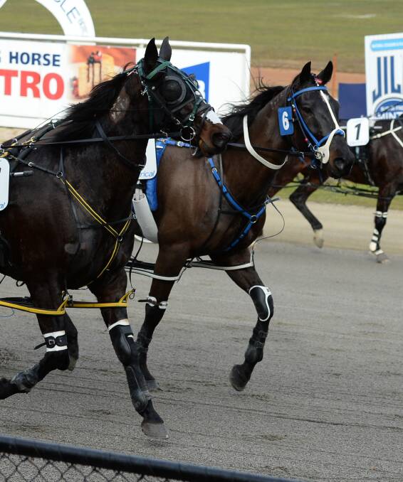 Standardbreds being helped to adapt to life after racing
