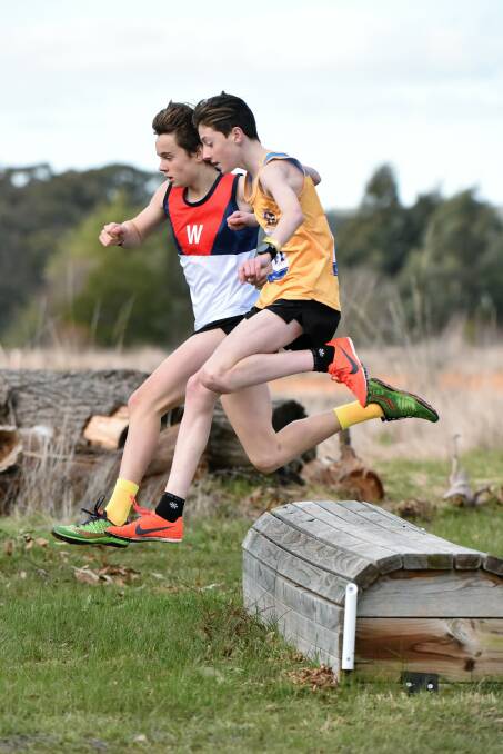 UP AND OVER: Darcy Williams (Wendouree) and Ben Mornane (Eureka).
