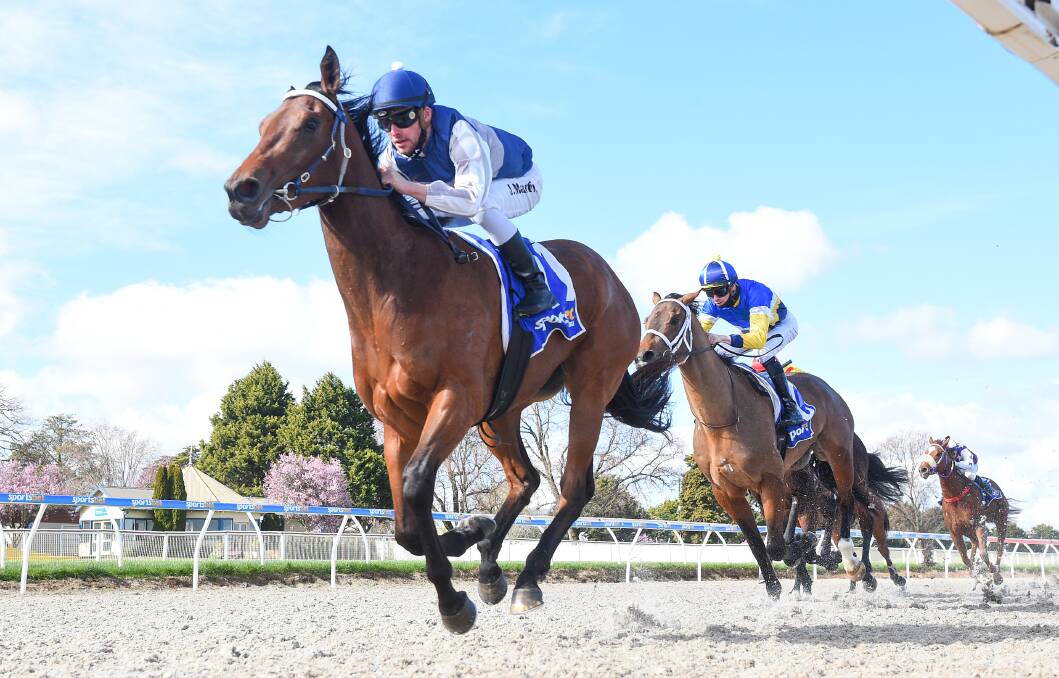 FIRST LEG: Jack Martin takes Money In My Pocket to her maiden victory on her home track in Ballarat on Monday. Picture: Racing Photos.