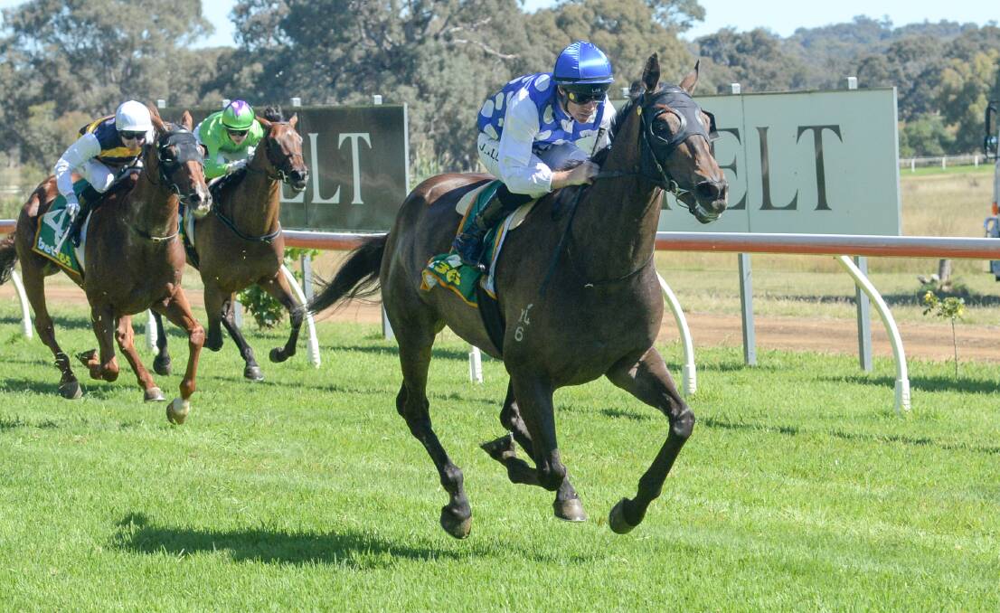 Launceston Cup winner takes out the Great Western Cup earlier this year. Picture by Ross Holburt/Racing Photos.