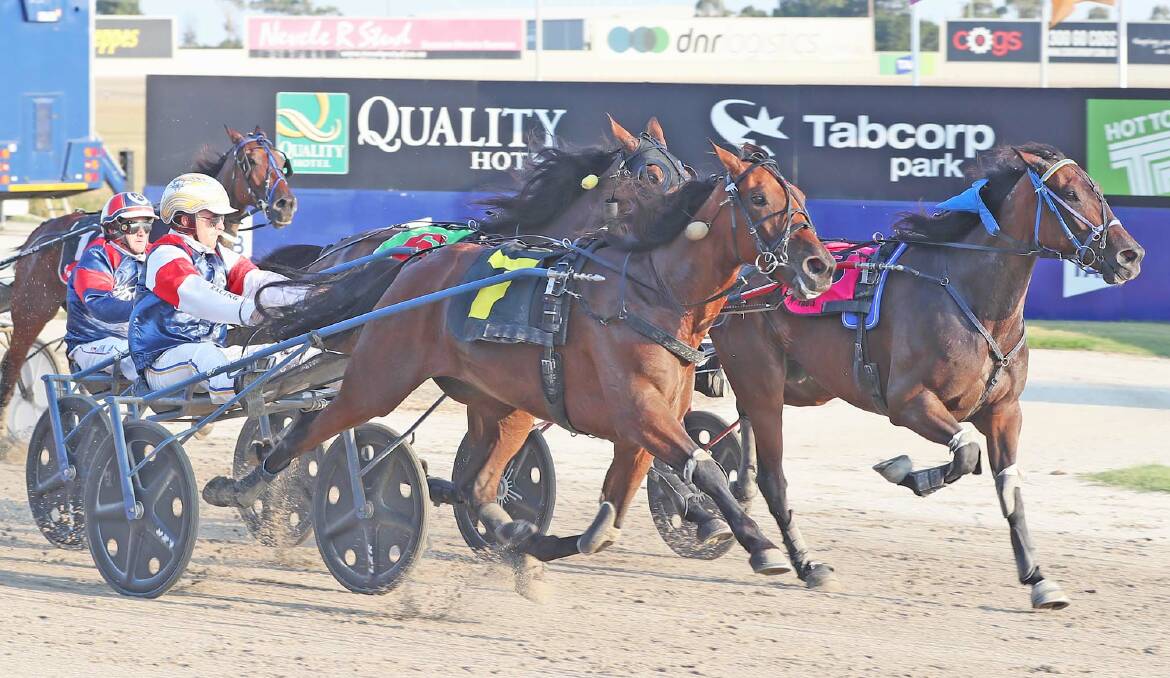 BURNING HOME: Glenferrie Burn (Josh Aiken) finishes hard to take out a free-for-all at Melton. Picture: Harness racing Victoria