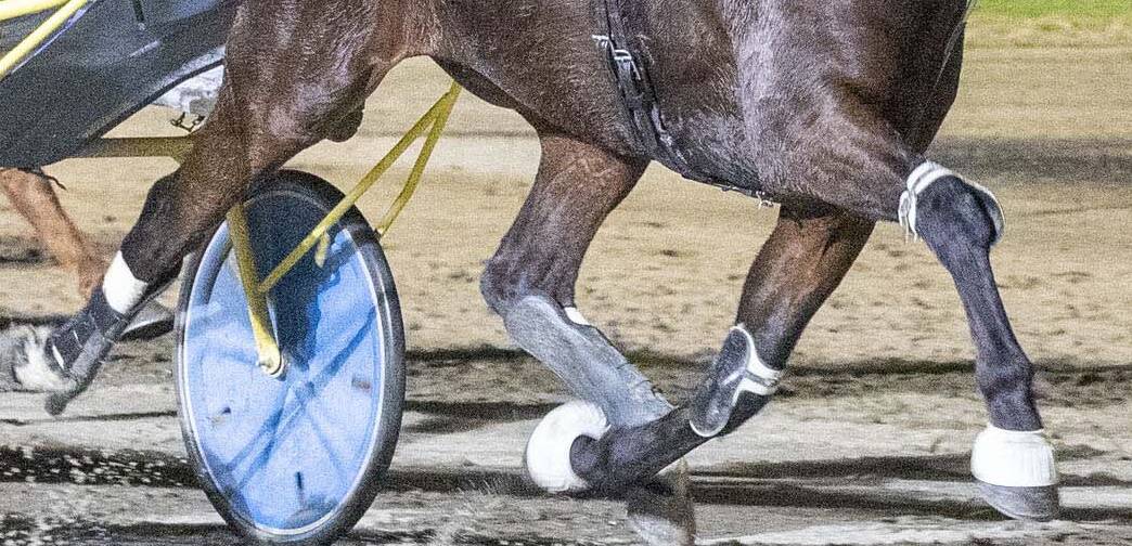 Ballarat night trots meeting cancelled owing to lack of acceptors