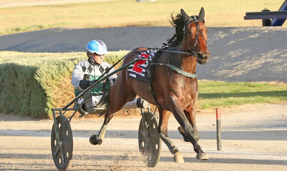LEADING THE WAY: Gavin Lang in the cart behind Ballarat-trained trotting mare My Tribeca in a Melton win. 
Picture: Harness Racing Victoria 