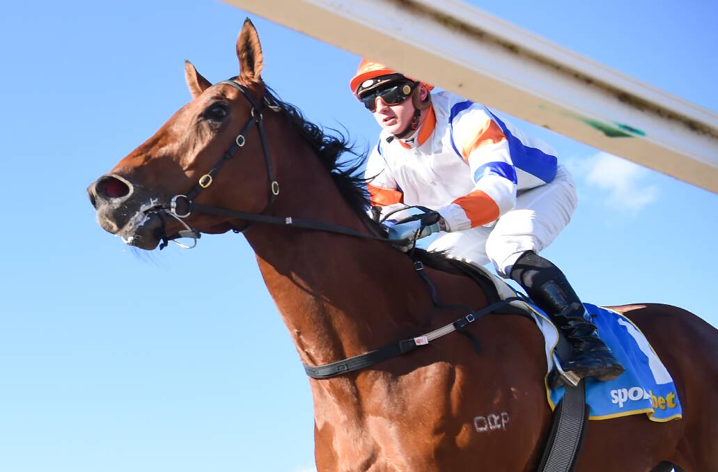 AT HOME: Bill The Boxer (Mitch Aitken) wins the Porter Plant Class 2 Handicap in Ballarat on Monday for Tony and Calvin McEvoy. Picture: Pat Scala/Racing Photos