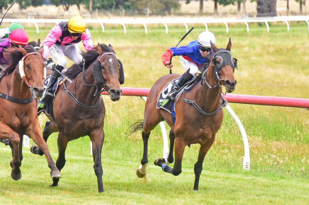 Tatum Bull urges Infernal to a close win on the rails in the Grow Better Garden Products Benchmark52 Handicap. Picture: Brendan McCarthy, Racing Photos 