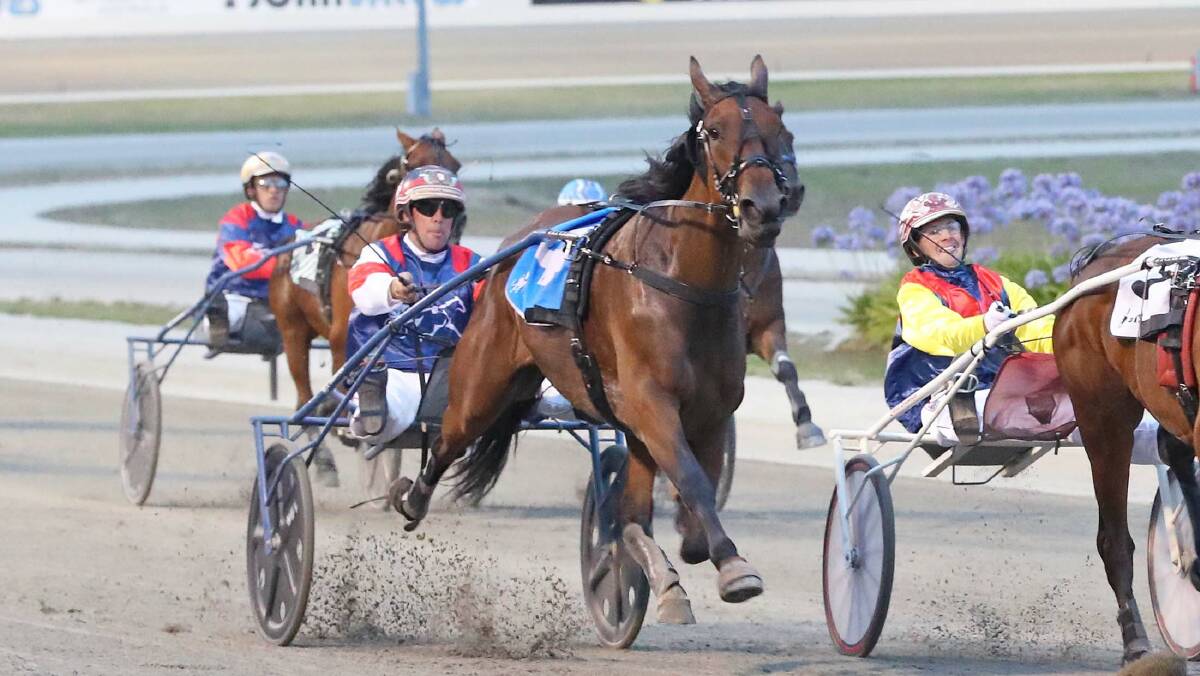 BIG NUMERS: My Tribeca, which already has two feature wins to her name this season, goes around in the Australian Grand Prix. Picture: Harness Racing Victoria