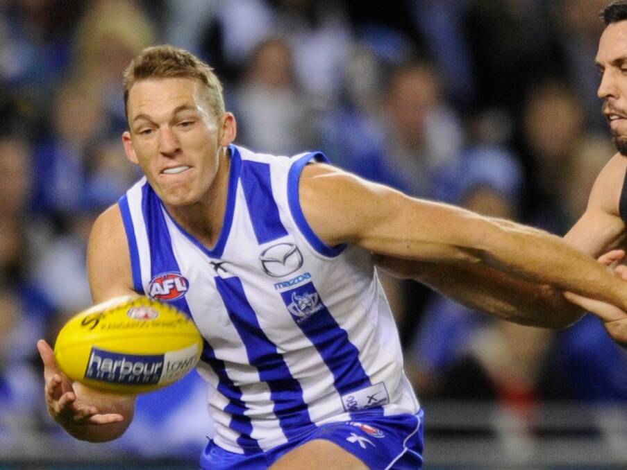 Kangaroos great: Drew Petrie in his familiar blue and white stripes.