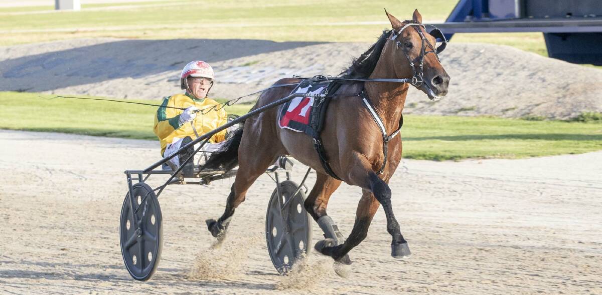 FLASHBACK; Alpha Male winning at Melton in a stunning start to what has so far been a limited career. Pictures: Stuart McCormick.