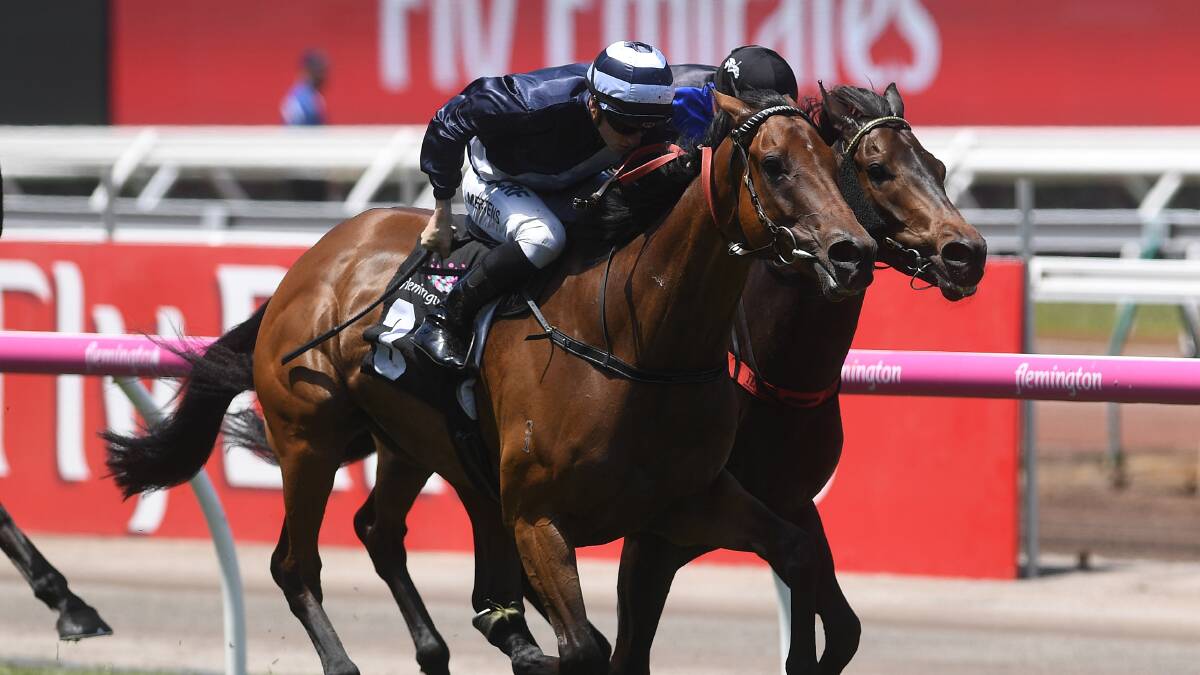 IN CHARGE: Oncidium Ruler (Beau Mertens) gets home for trainer Mick Kent in the Juvenile Diabetes Research Foundation Plate at Flemington. Picture: AAP Images 