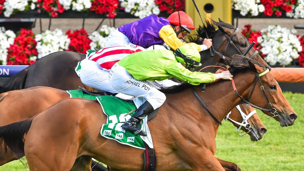 AIMING TO BLOSSOM: Afffair To Remember wins at Flemington in the spring. Picture: Racing Photos