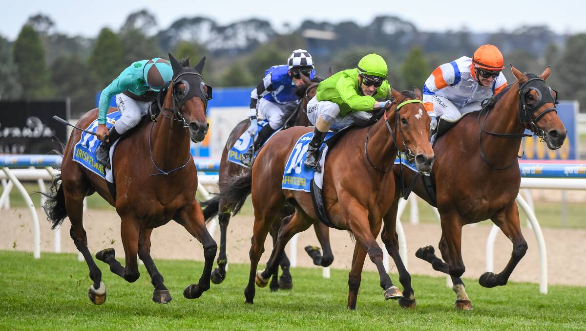 SO CLOSE: Irish Flame (Michael walker), left, goes to the line with Affair To Remember (Mark Zahra) and Game Keeper (Luke Currie). Picture: Natasha Morello/Racing Photos
