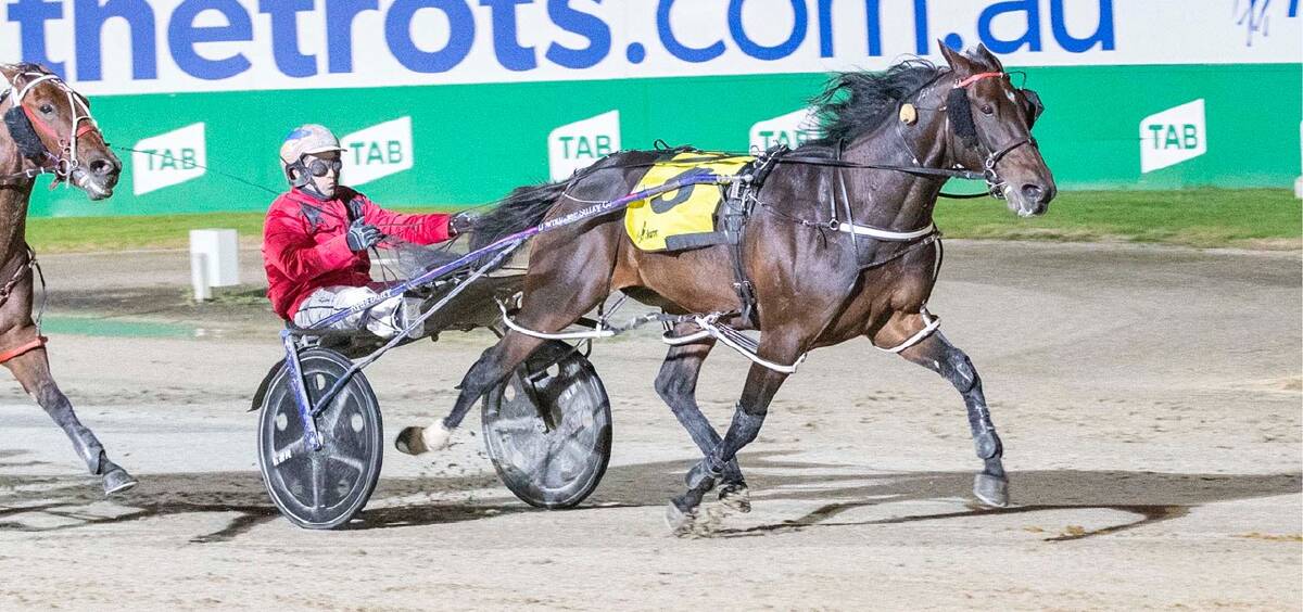DOUBLE UP: Ryan Duffy takes Bannockburn pacer Majestic Cruiser to victory at Melton on Saturday night. Picture: Stuart McCormick.