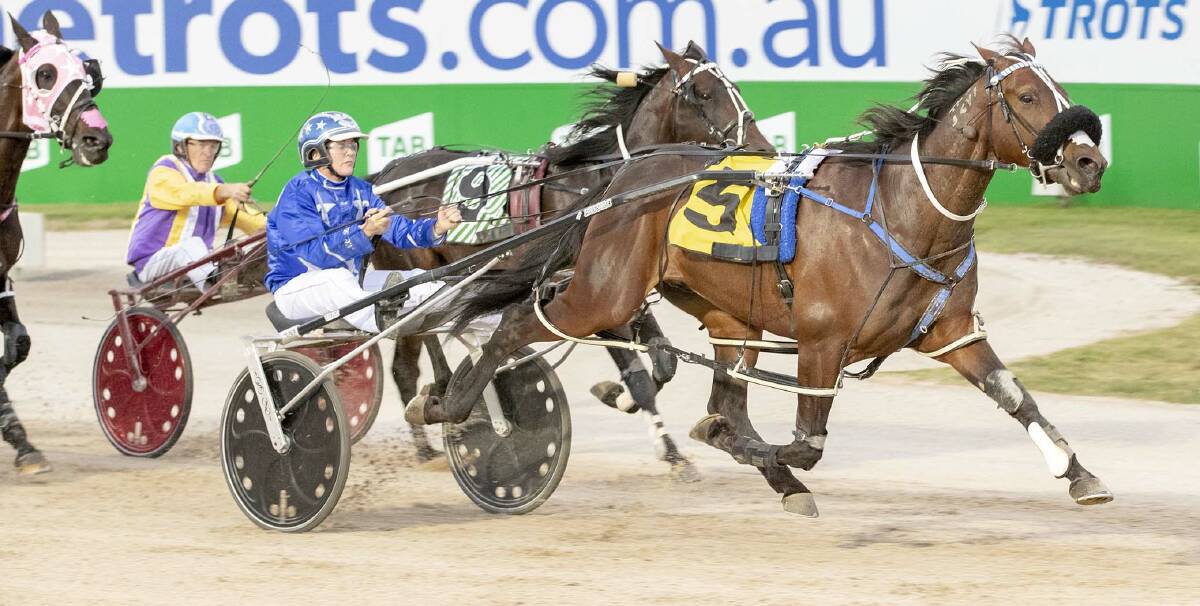 BLITZ: Spankem leads another New Zealand charge to Ballarat on Tuesday night, this time for the Inter Dominion Championships. Picture: Stuart McCormick, HRV
