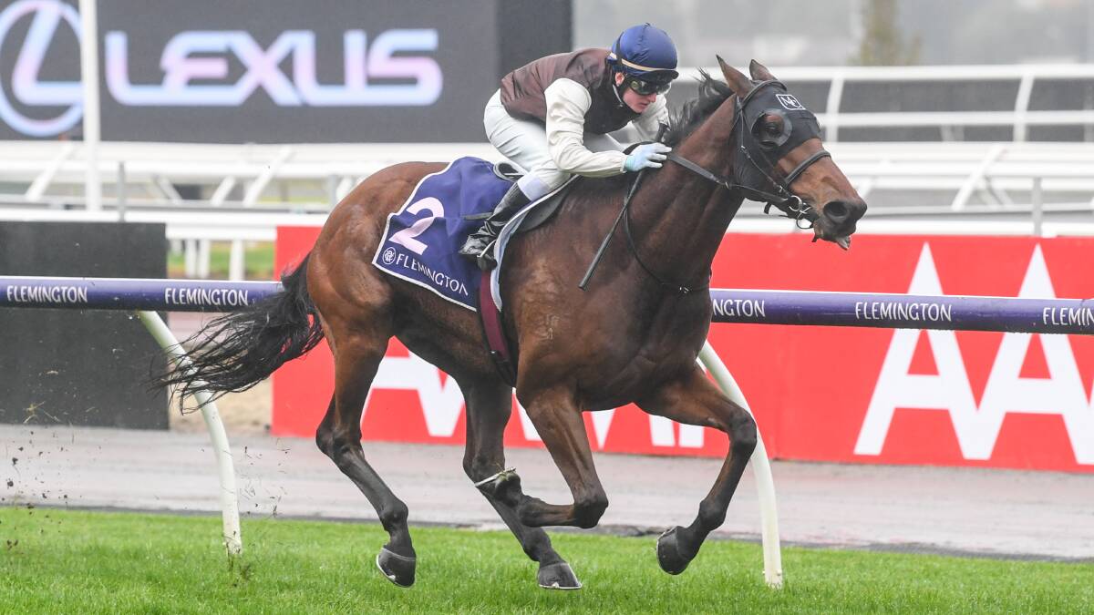 HERE WE GO AGAIN: Sasko (Michael Poy) leads through out in the Rogan Josh Stayers Trophy, 2500m, at Flemington. Picture: Getty Images 