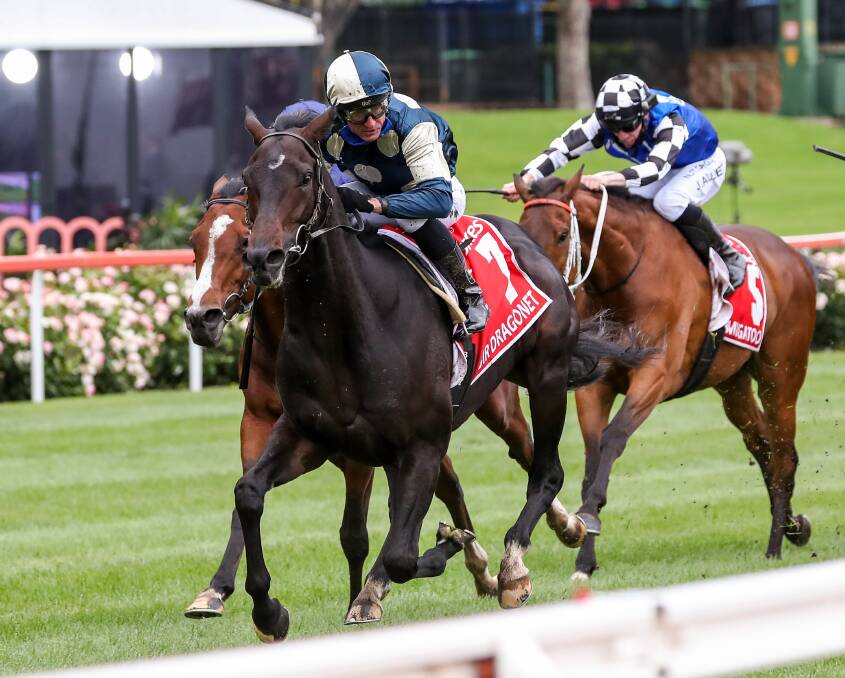 Sir Dragonet (Glen Boss) on his way to victory in the Cox Plate at The Valley on Saturday - now looking to the Melbourne Cup. Picture: Racing Photos