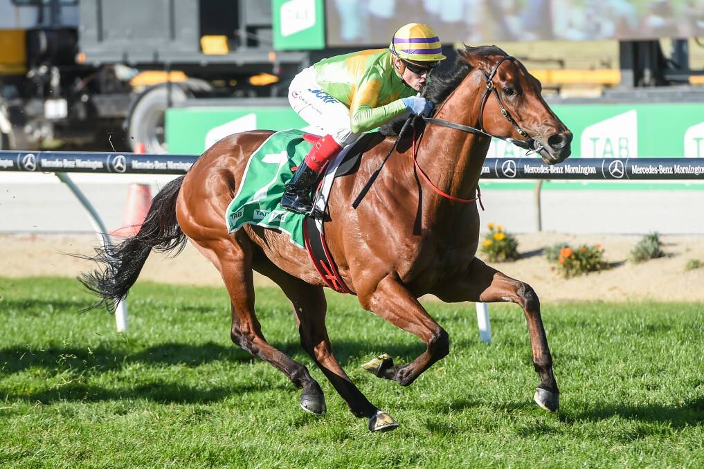 Dr Drill chasing Ballarat Cup's big cash prize. Picture: Getty Images
