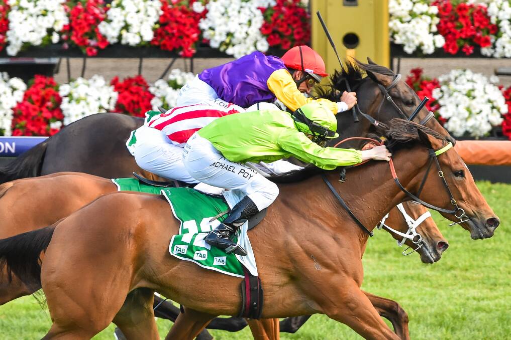 Affair To Remember gets up on the outside to snare the Matriarch Stakes at Flemington. Picture: Racing Photos.