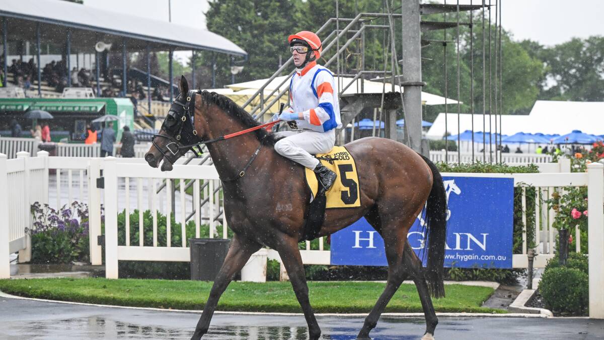 Harry Coffey on Sunset Dreaming after winning the Portable Buildings by Design VOBIS Gold 3yo Eureka Stockade. Picture by Reg Ryan/Racing Photos.