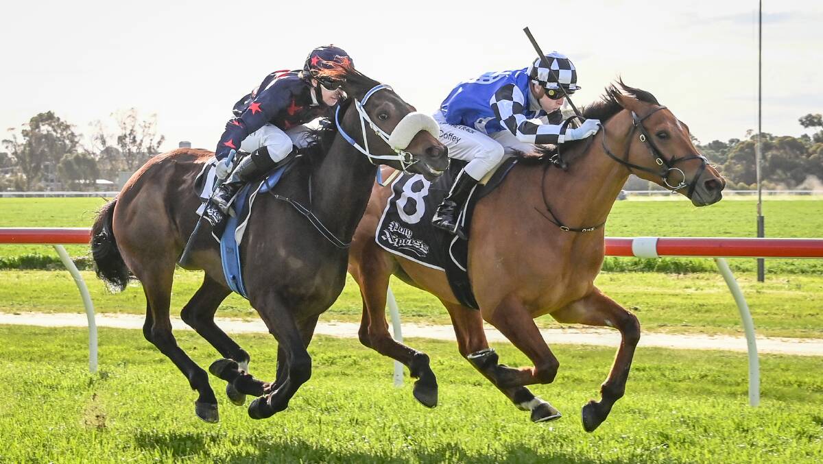 IN FRONT: Herman Hesse (Harry Coffey) wins the Sheep Hills Cup at Warracknabeal on Saturday. Picture: Alice Miles/Racing Photos.