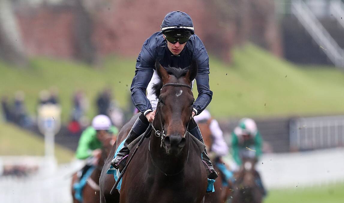 BIG TARGETS: Sir Dragonet, in the Aidan O/Brien colours in Ireland, will be among the leading weight carriers in the Caulfield and Melbourne Cups. Picture: Getty Images.