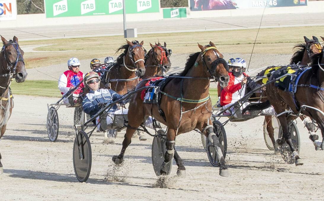 BIG ASSIGNMENT: Fourbigmen is one of trainer Emma Stewart's four runners in the Ballarat Pacing Cup. Picture: Stuart McCormick