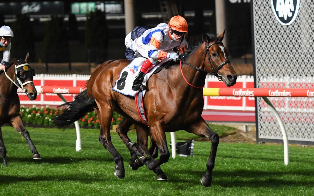HE'S BACK: Secret Blaze (Craig Williams) wins the JRA Cup at Moonee Valley on Friday night. Picture: Pat Scala/Racing Photos.